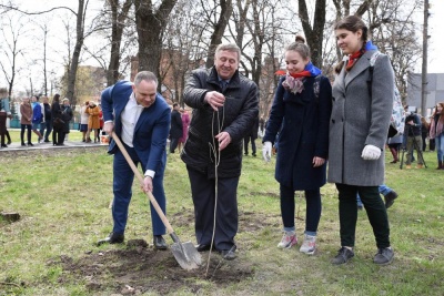 В Детском парке Курска появилась живая изгородь из «комсомольской» сирени